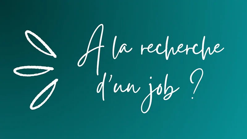 Accompagnements de Madame CV pour les chercheurs d'emploi